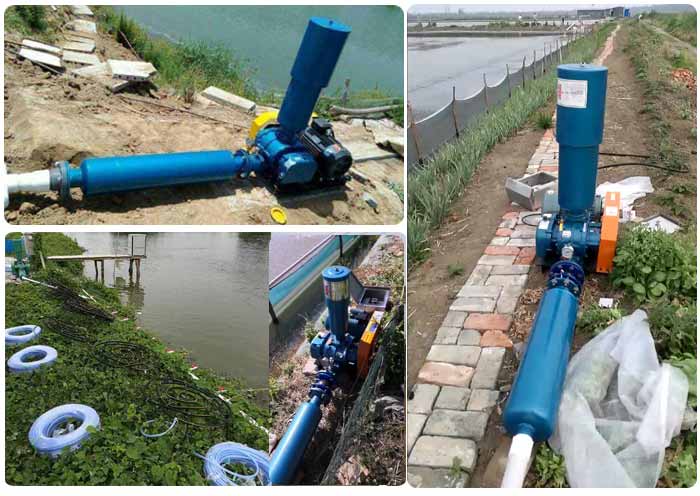 水产养殖罗茨2020蜜柚直播下载 （罗茨增氧机）